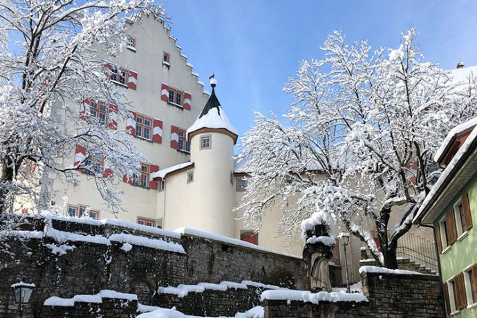 Schlossansicht im Winter | freundeschlosstiengen
